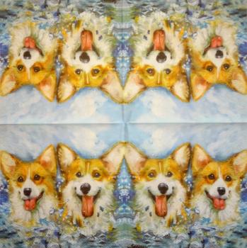907 Dogs - 3-ply - Specials